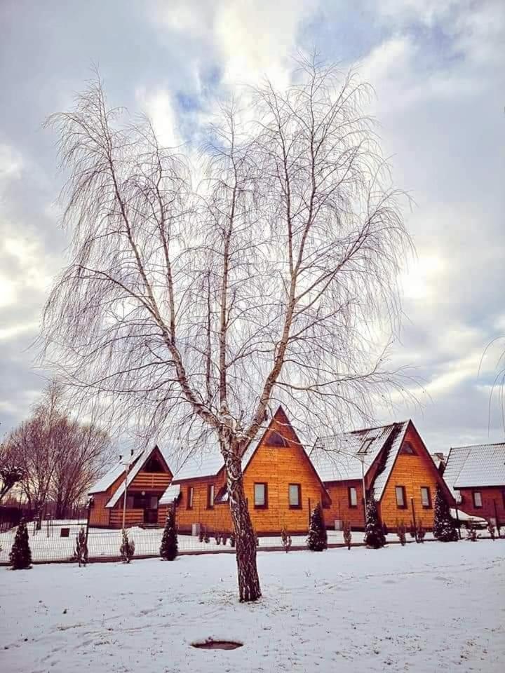 Parco vacanze Przystan - Aktywna Strona Ilzy Ilza